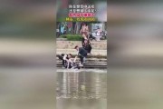 吃瓜群众视频来源是什么,探寻网络热点背后的真相