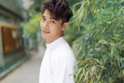 娱乐圈吃瓜爆料郑凯,揭秘明星背后的真相