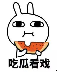 娱乐圈吃瓜沙雕动画